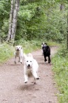 Runt Stora Delsjön
