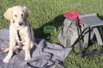 Base camp