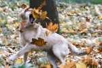 Oktober