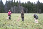 Elsa, Diesel, Pride, Maria, Emma & Zoey