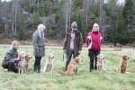Familjefoto: Ellen, Freija, Zoey, Leia, Diesel & Epson