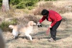Faiko