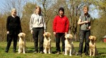 Syskonen: Zoey, Diesel, Faiko & Freija