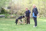 Klickertränarutbildning helg 2