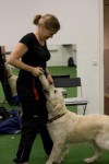 Foto: Amanda Gruneau / Daniel Lobelius Gruneau
