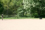 Låva