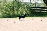 Låva
