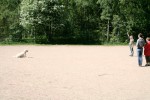 Ludde