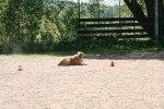Agneta & Rico