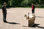 Ludde