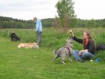 Samling