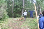 Freija