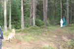 Freija