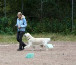 Rallylydnadstävling