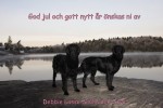 God jul och gott nytt år önskas ni av Debbie, Lasse, Smilla & Tuva