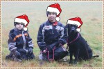 God Jul önskar Erika, Bengan, Emil och Anton   läs vår julhälsning här: www.landkrabbans.se