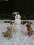 Hundarna med snögubben