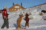 Canis klickertränarutbildning helg 1