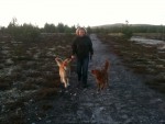Mary och hundarna