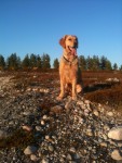 I solen