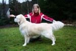 Ludde
