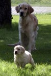 Jag och min mamma