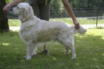 Ludde